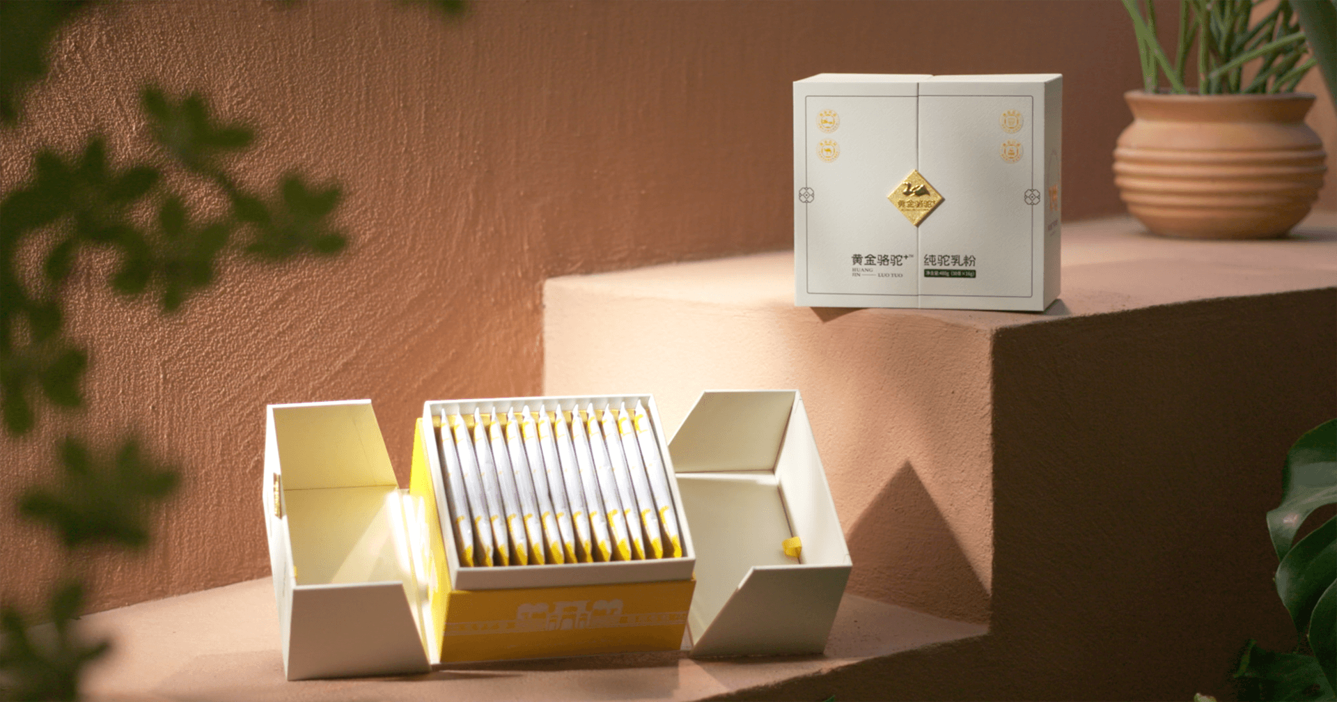 定位小众高端乳粉，jinnianhui今年会推出驼奶品牌“黄金骆驼+”，角逐乳品新市场！